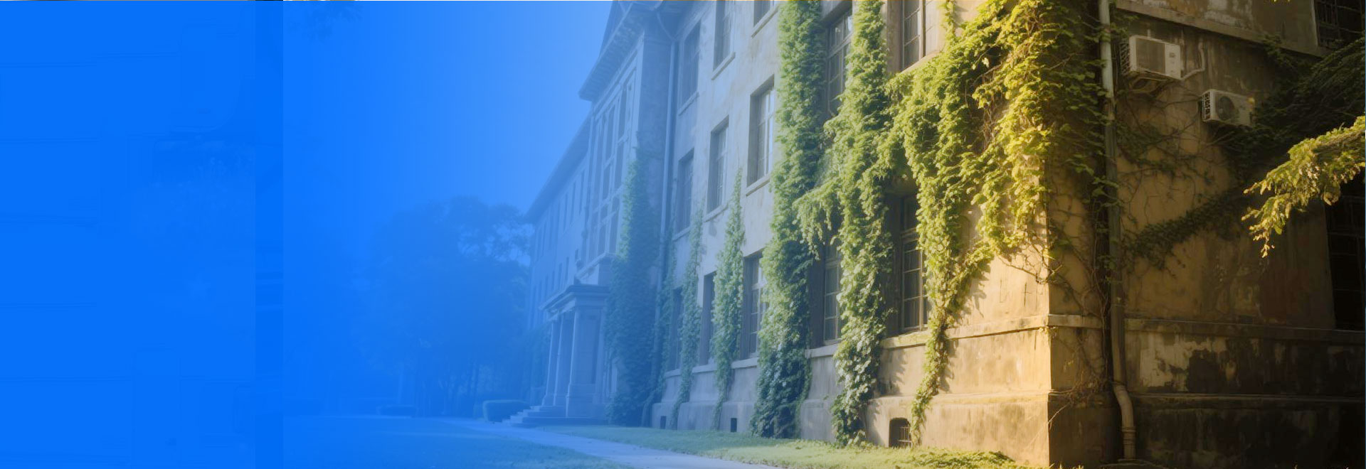 �t���X݆��Ʒ�|(zh��)��